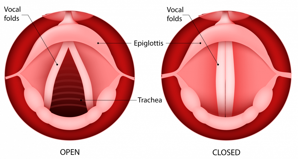 Physics Vibrations And Speech Level 2 activity for kids PrimaryLeap