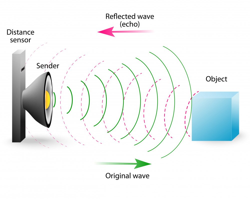 physics-vibrations-and-speech-level-1-activity-for-kids-primaryleap