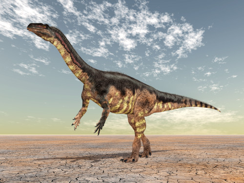 History: Plateosaurus: Level 1 activity for kids | PrimaryLeap.co.uk
