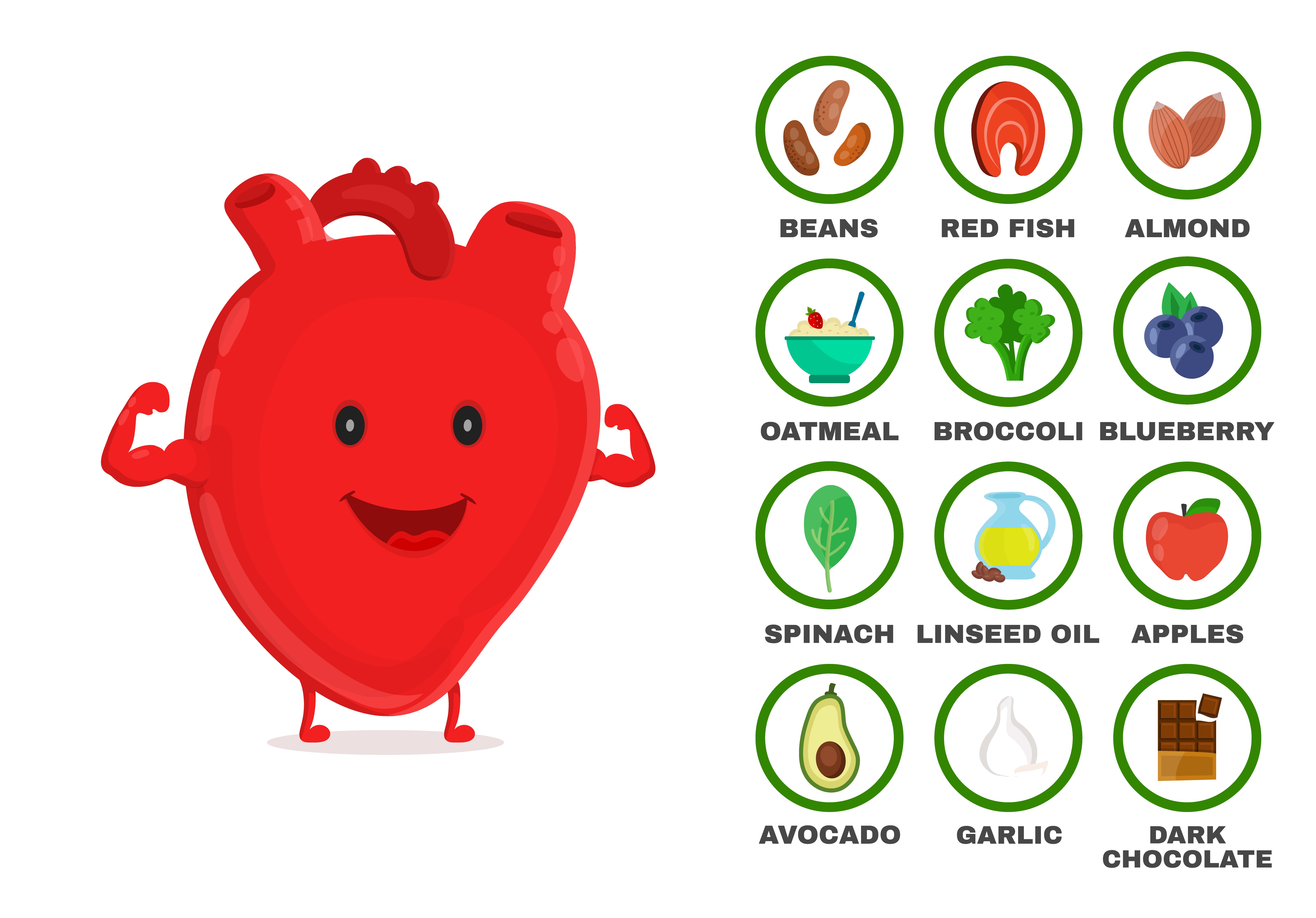 Biology: Healthy Diet: Level 2 activity for kids | PrimaryLeap.co.uk