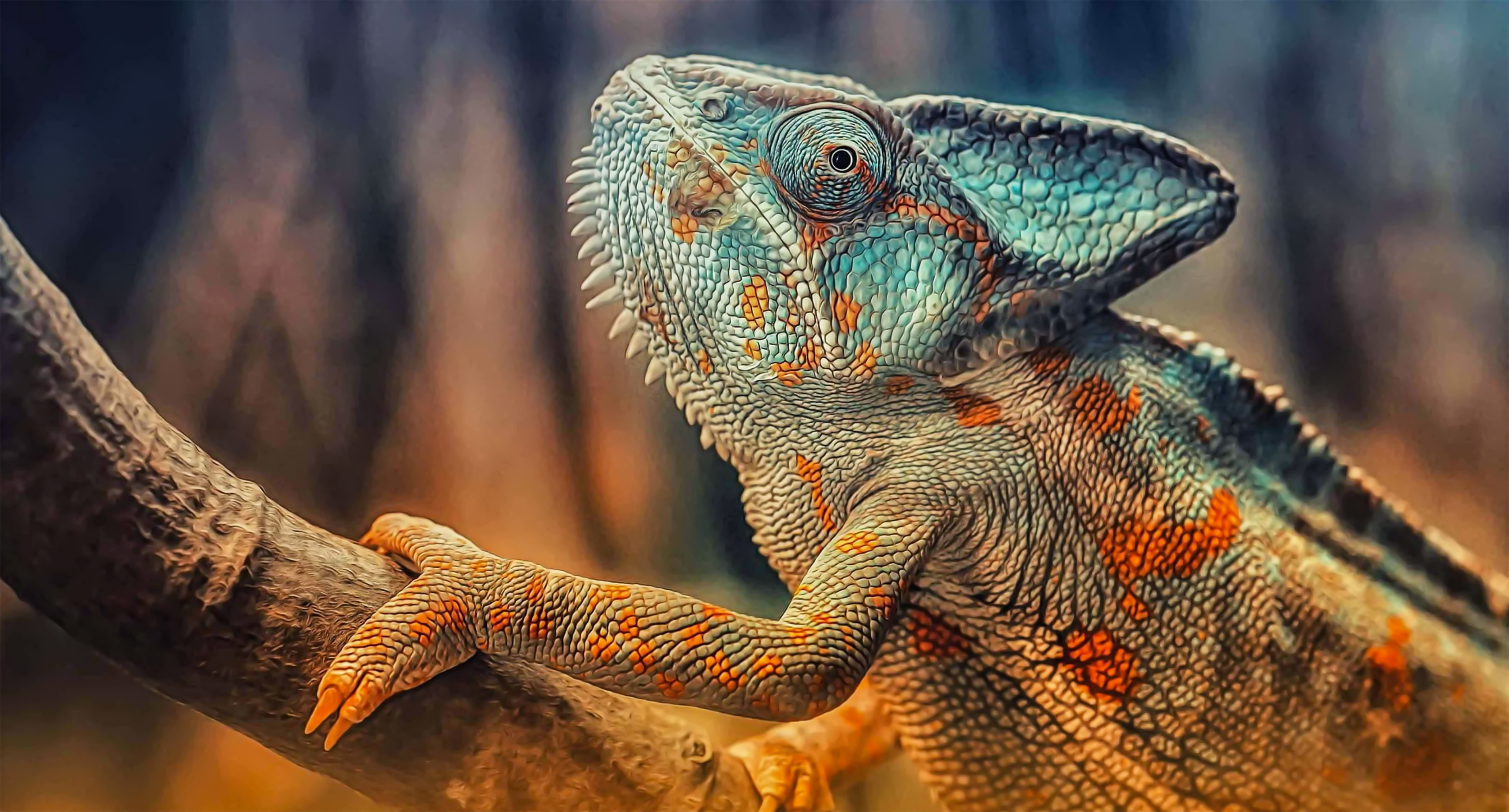 Biology: All About Reptiles: Level 3 activity for kids | PrimaryLeap.co.uk