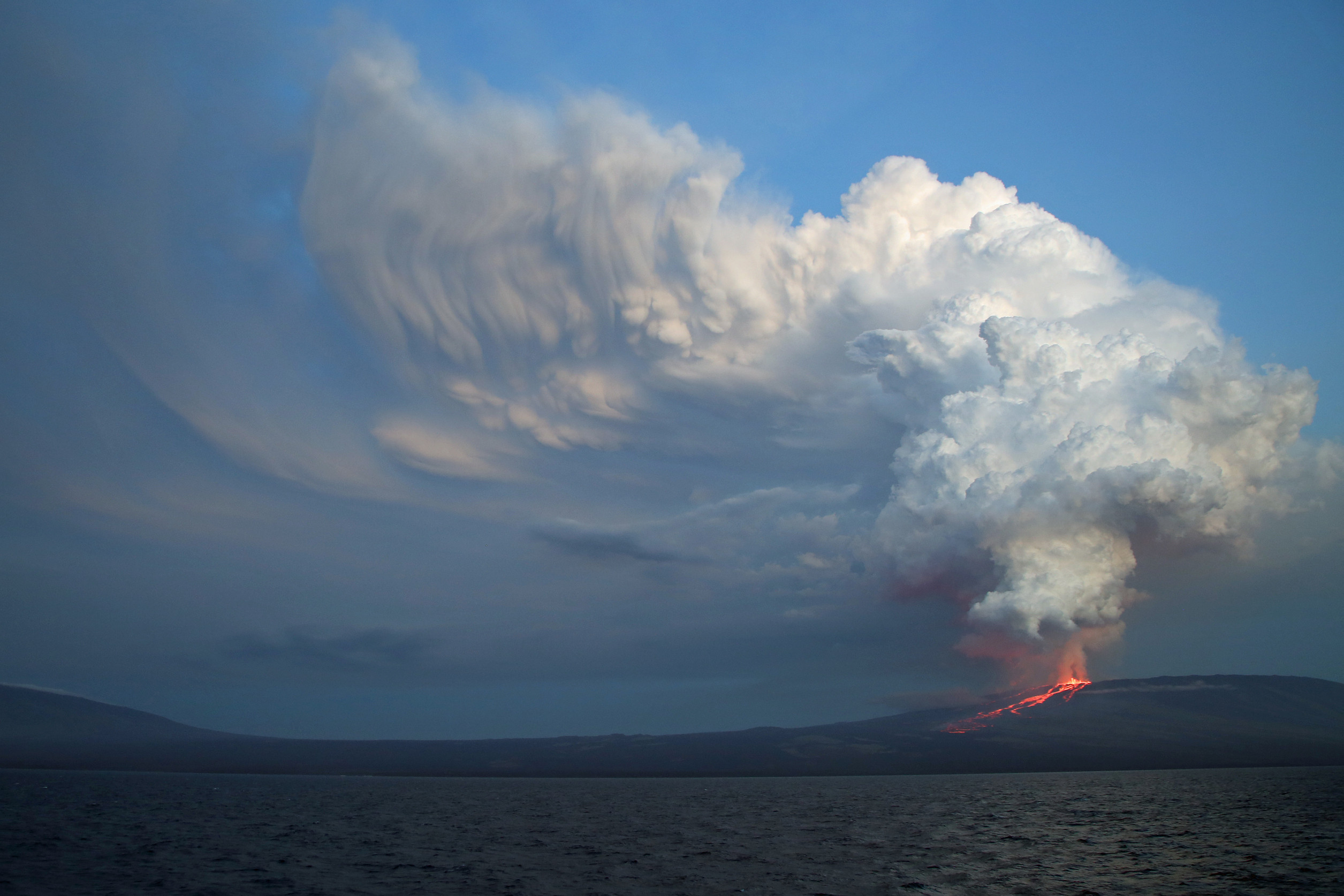 Geography: Galapagos Islands: Level 2 activity for kids | PrimaryLeap.co.uk