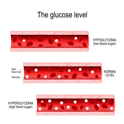 Biology: Carbohydrates: Level 1 activity for kids | PrimaryLeap.co.uk