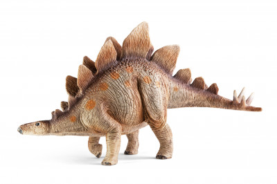 History: Stegosaurus: Level 1 activity for kids | PrimaryLeap.co.uk